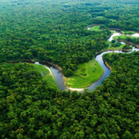 Grow Billion Trees: A Global Crusade Against Climate Change Led by Indian Army Veterans